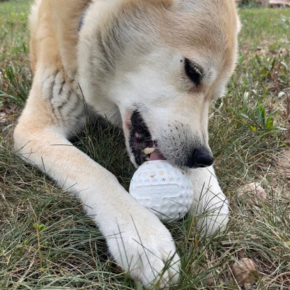 Golf Ball Rubber Dog Chew Toy for Power Chewers