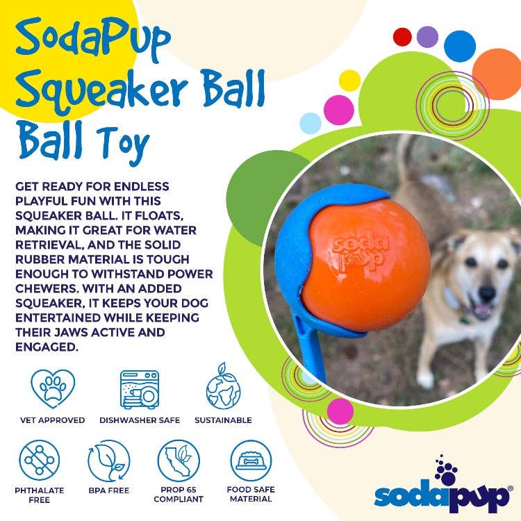 Floating Squeak Ball Chew Toy | USA Made