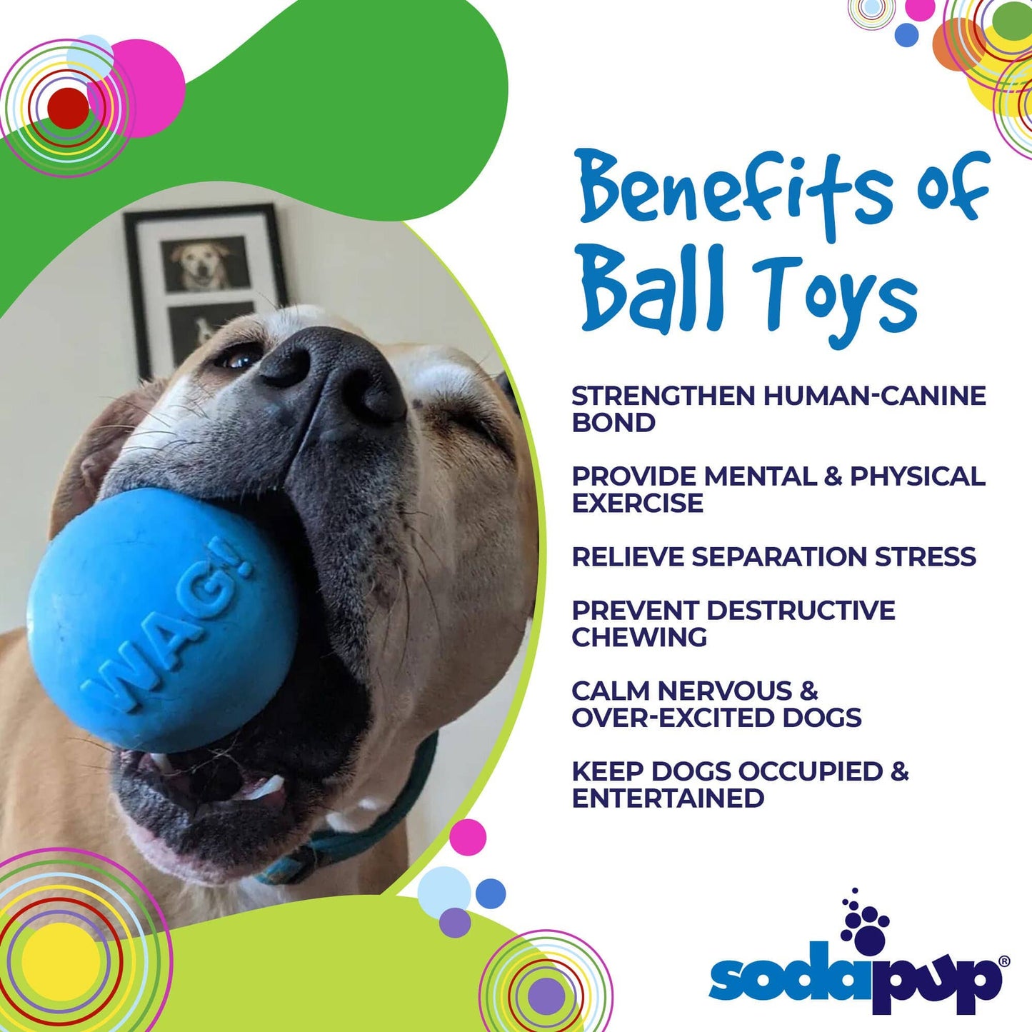 Wag Ball Rubber Dog Chew Toy for Heavy Chewers