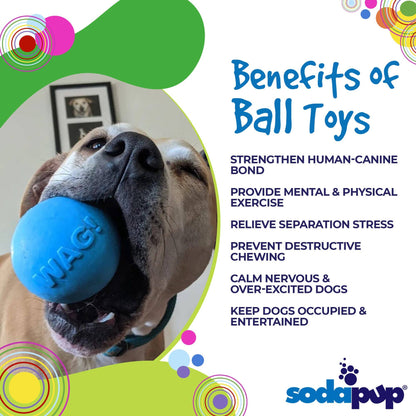 Wag Ball Rubber Dog Chew Toy for Heavy Chewers