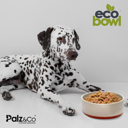 Palz&Co Eco-Bowls With Lid