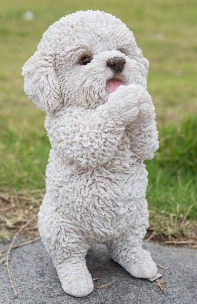 Poodle Puppy Playing Statue