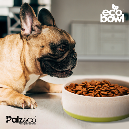 Palz&Co Eco-Bowls With Lid