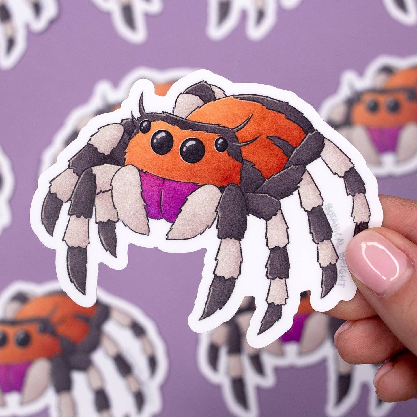 Spider Waterproof Vinyl Sticker