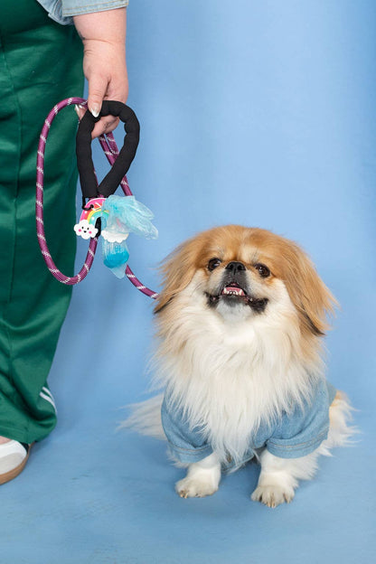 Rainbow Dog Poop Bag Leash Holder