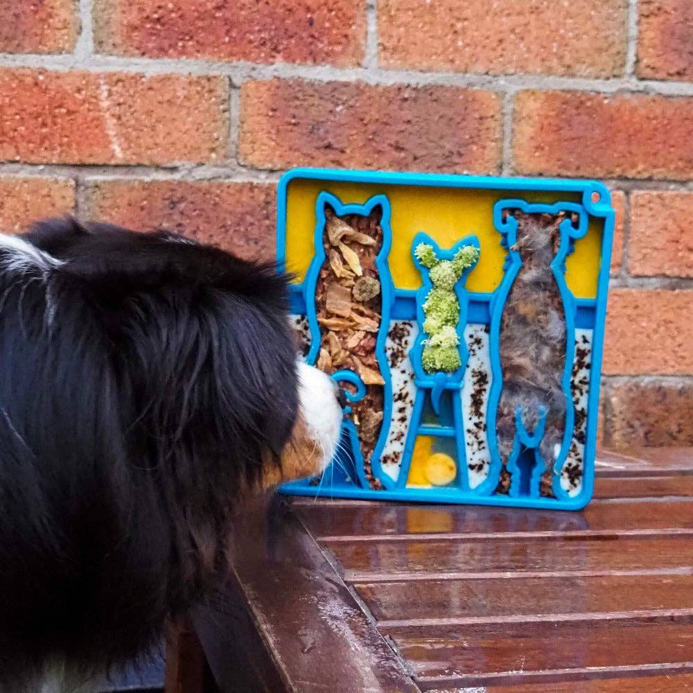 Slow Feeder Bowl for Enrichment | USA Made