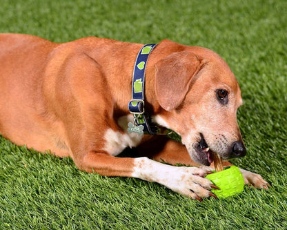 High Roller Plus Dog Ball