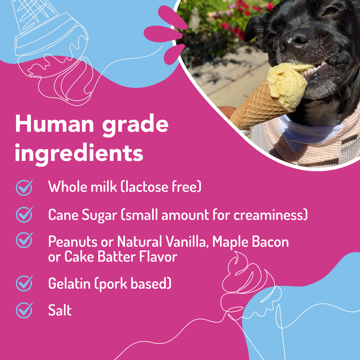 Puppy Scoops Ice Cream Mix for Dogs