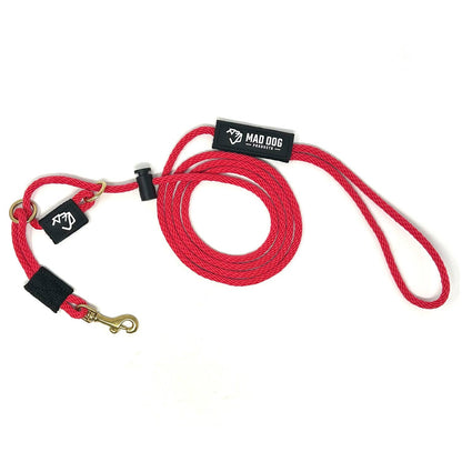 English Slip Leash / Safety Strap Combo Leash