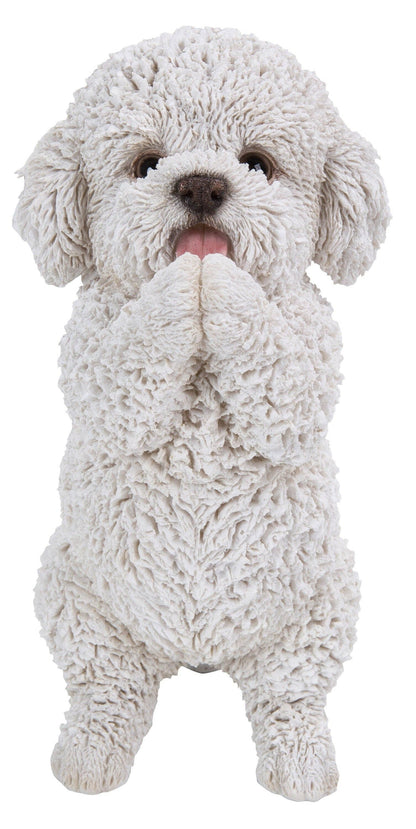 Poodle Puppy Playing Statue