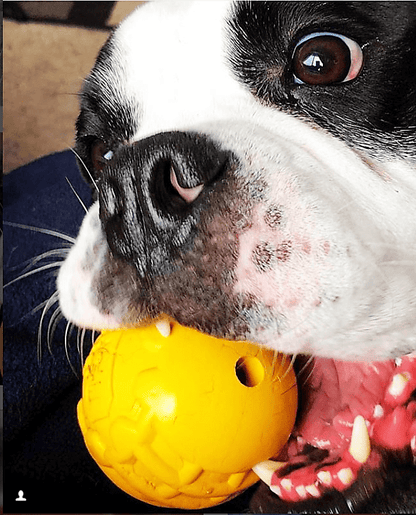 Industrial Dog Ball Rubber Chew Toy for Heavy Chewers