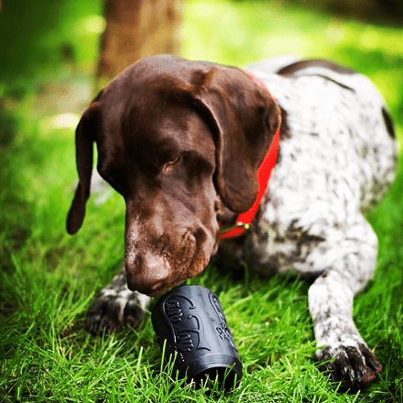 Magnum Can Toy Rubber Dog Chew Toy for Extreme Chewers