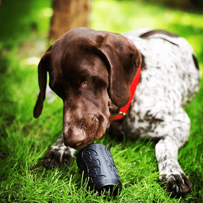 Magnum Can Toy Rubber Dog Chew Toy for Extreme Chewers