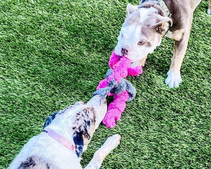 Duraplush Springy Thing Dog Toy