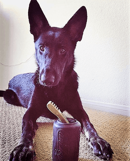 Magnum Can Toy Rubber Dog Chew Toy for Extreme Chewers