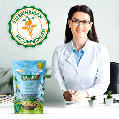 Tropical - Feast on the Fly