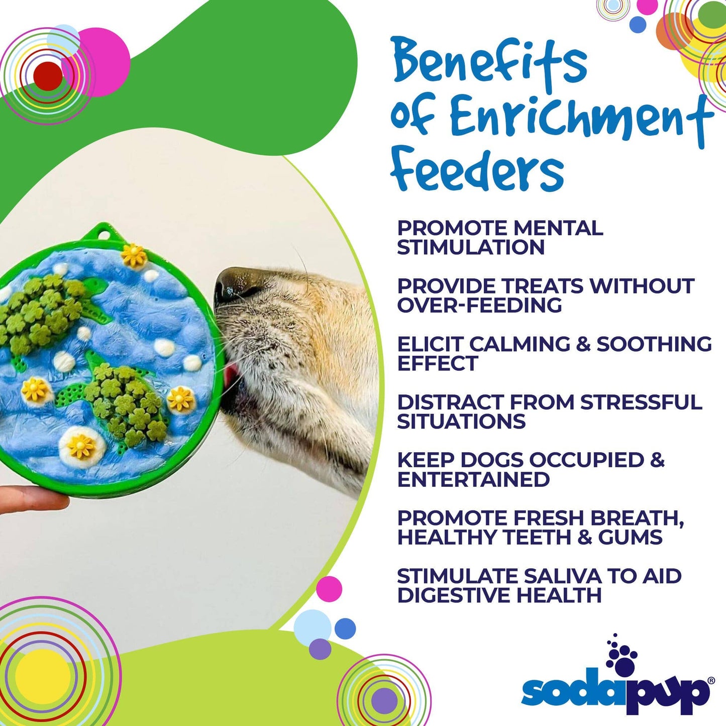 Water Nylon eCoin Durable Enrichment Snacking Tray for Dogs Lick Mat Alternative