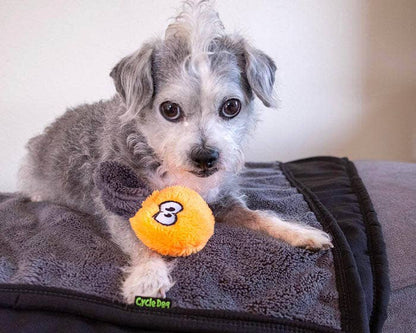 Duraplush Flower Puppy Pack