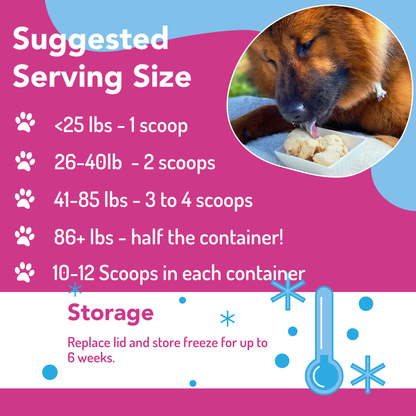 Puppy Scoops Ice Cream Mix for Dogs