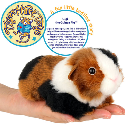 Guinea Pig | 7 Inch Stuffed Animal Plush