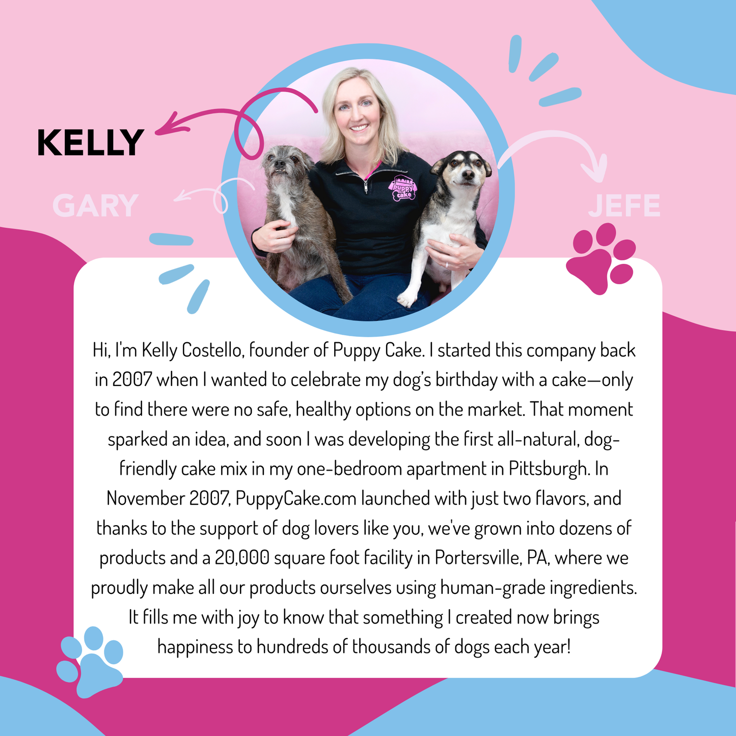 Puppy Scoops Ice Cream Mix for Dogs