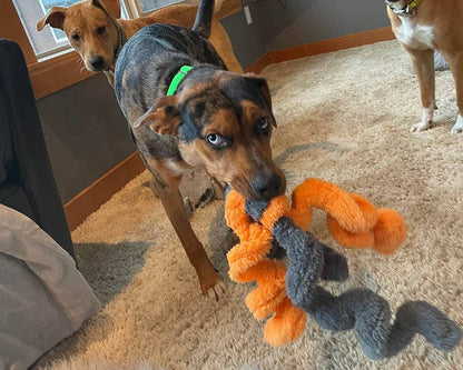 Duraplush Springy Thing Dog Toy
