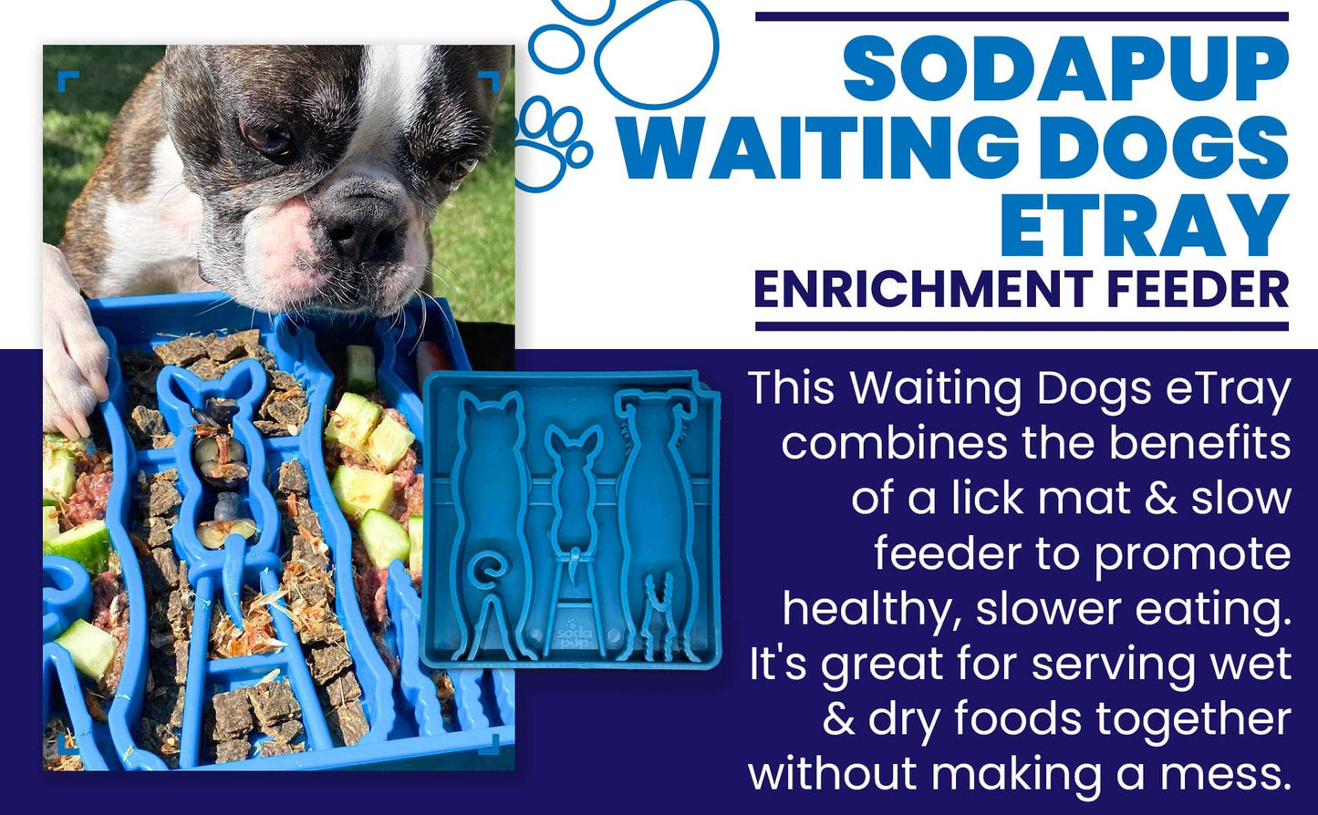 Slow Feeder Bowl for Enrichment | USA Made