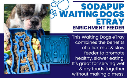Slow Feeder Bowl for Enrichment | USA Made