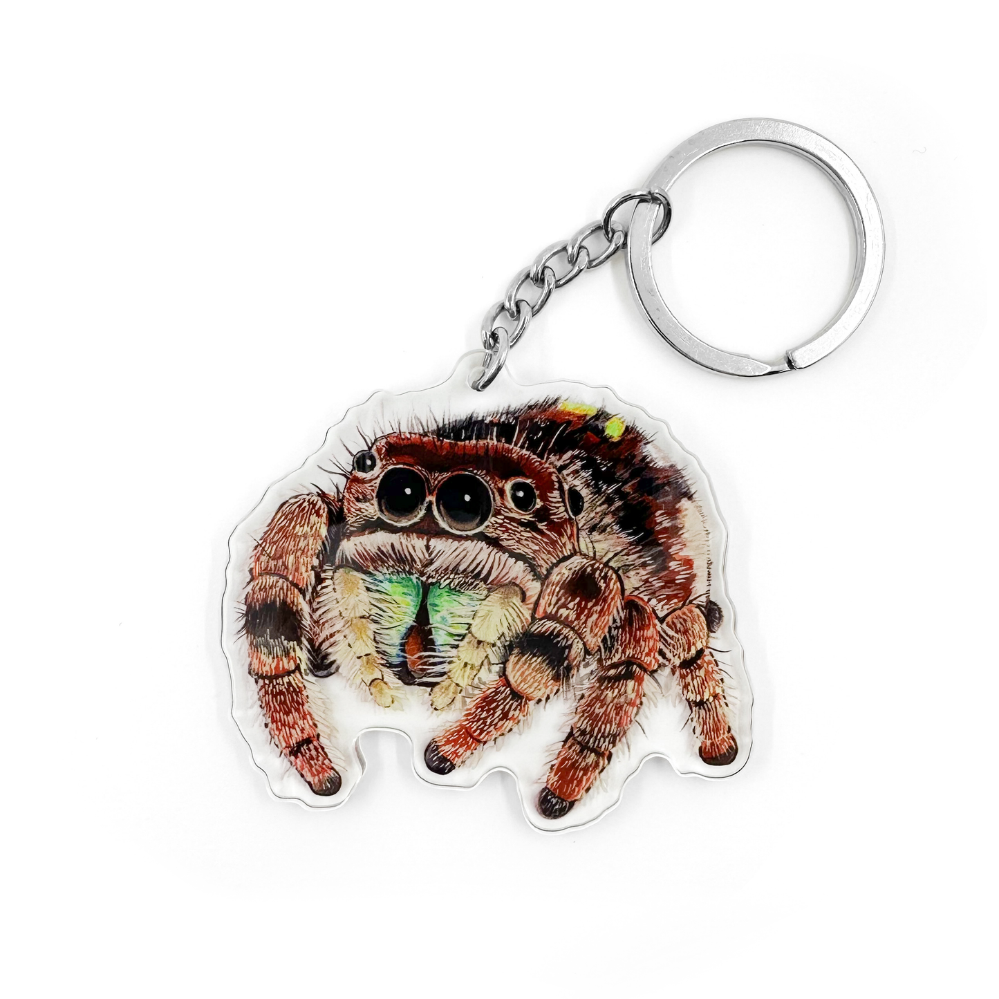 Jumping Spider Acrylic Keychain