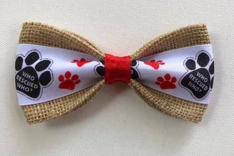 Who Rescued Who Bowtie